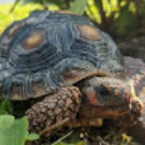 Meet your Posher, Jayne